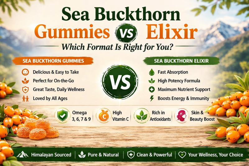 Sea Buckthorn Gummies vs Elixir: Which Format Is Right for You?