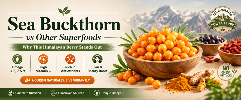 Sea Buckthorn vs Other Superfoods: Why This Himalayan Berry Stands Out