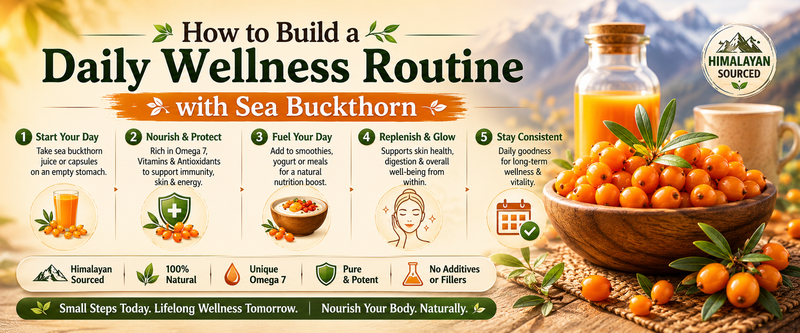 How to Build a Daily Wellness Routine with Sea Buckthorn