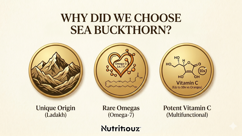 Why Did We Choose Sea Buckthorn for Nutritiouz?