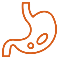 Better Gut Health